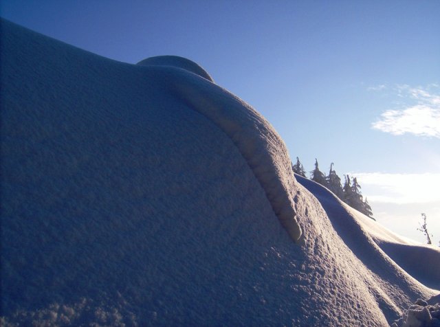 228_bianco calore della neve_tema libero